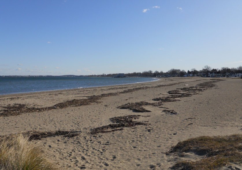 Quincy Shores Reservation, Massachusetts, USA